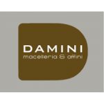 Damini(1)