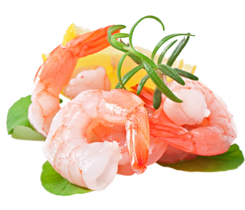 shrimps (3)